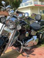 RIDERS BACKREST