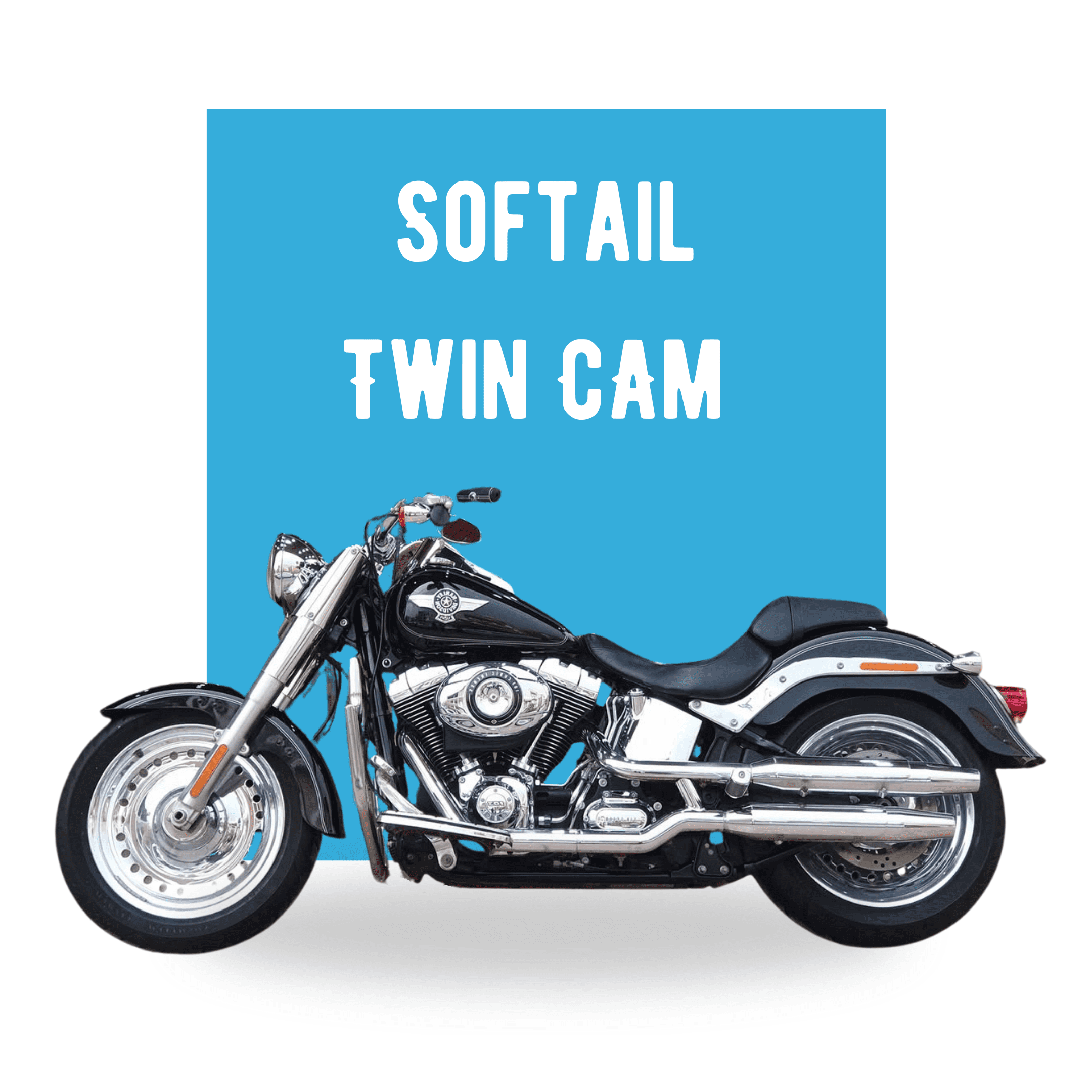 Softail Twincam